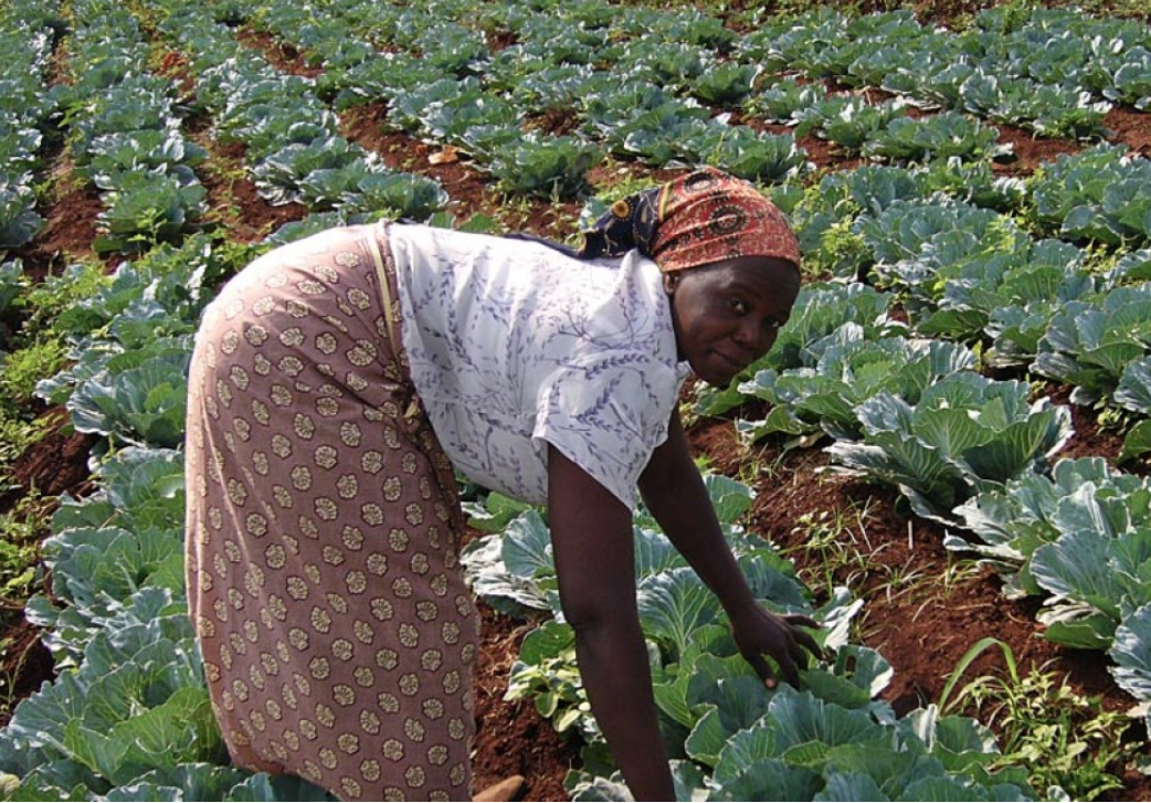 O que é Agricultura?